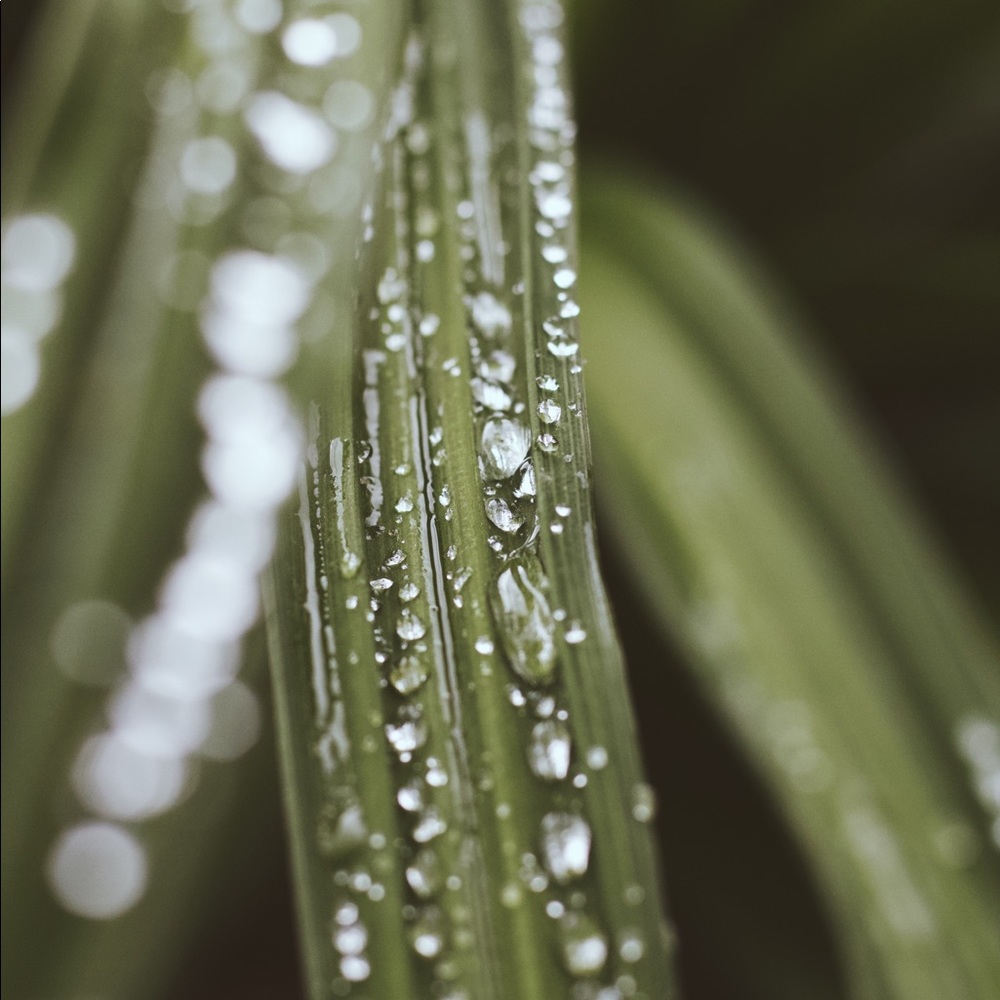 Postcards! - Picture 6 of 8